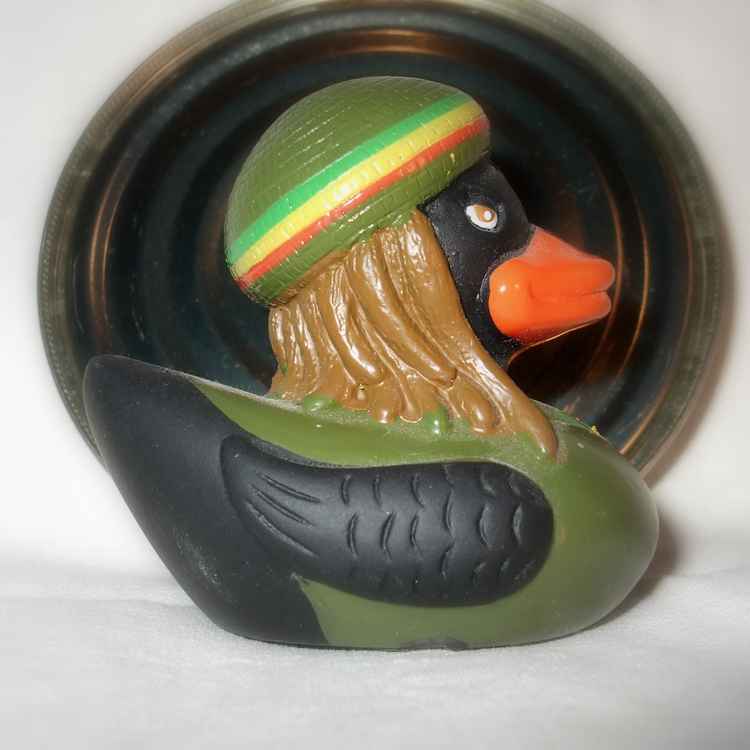 rastaduck 12