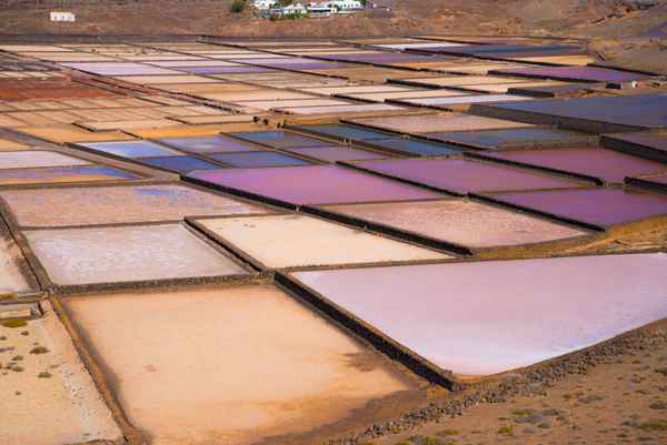 Salinas de Janubio