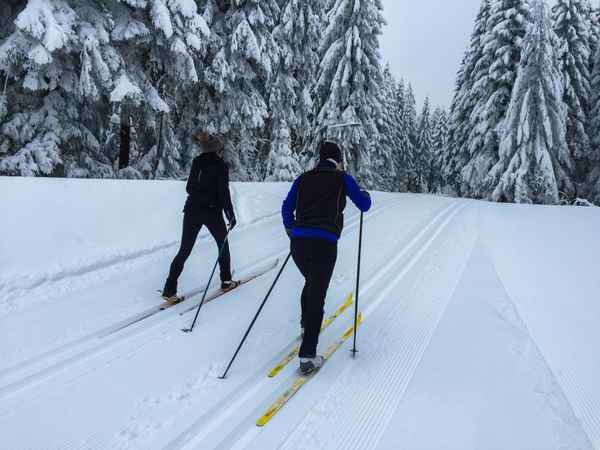 Langlauf im Schwarzwald