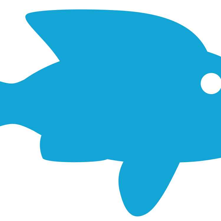 Fisch gefällig?