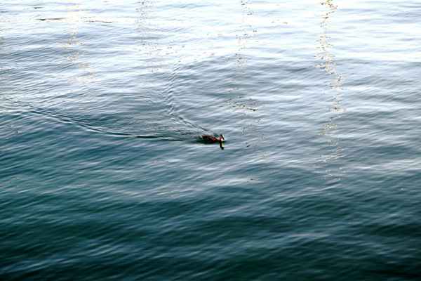 Wasser 21