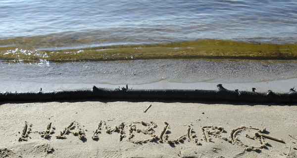 Hamburg am Strand