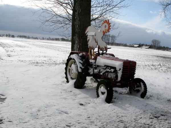 Ostern im Schnee