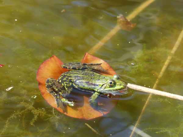 Ein schönes Plätzchen