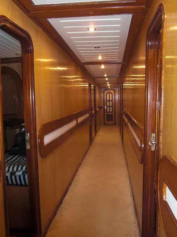 Golden Dolphin II