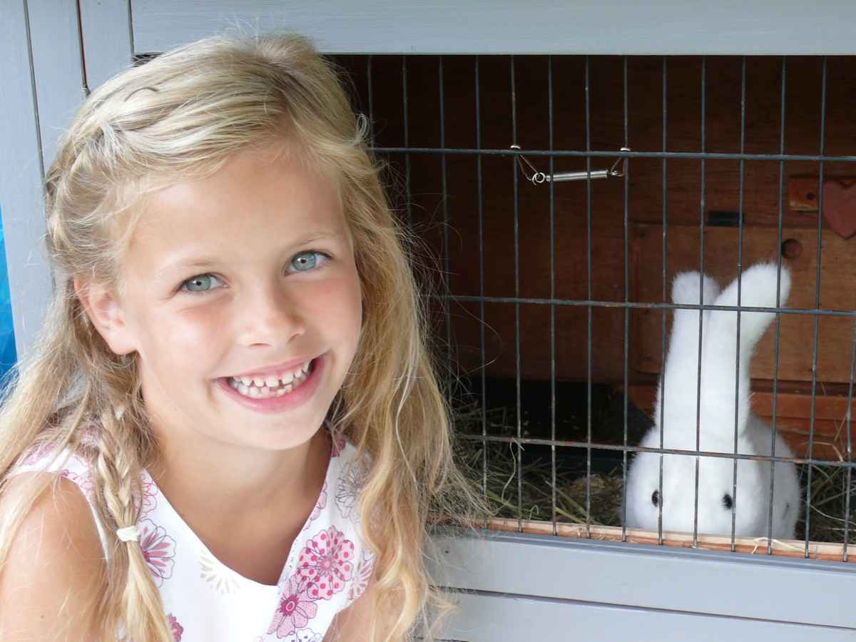 Mein falscher Hase