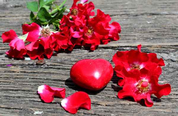 AUS LIEBE ............. I