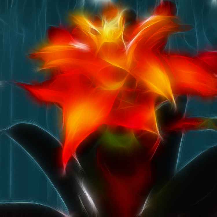 eine blüte mit fraktalfilter