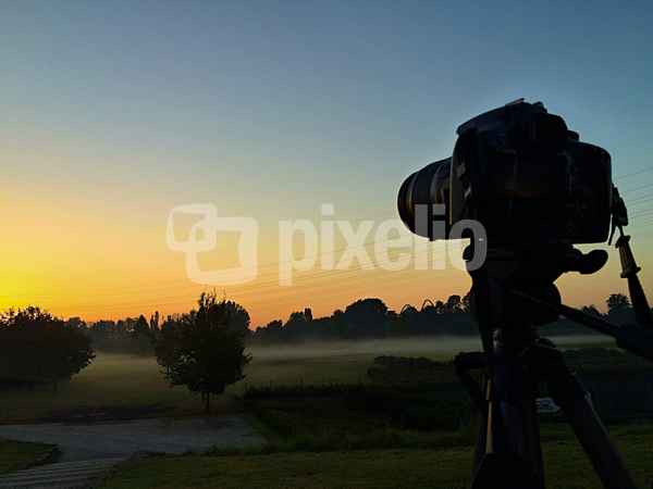 Morgenstimmung Nordsternpark