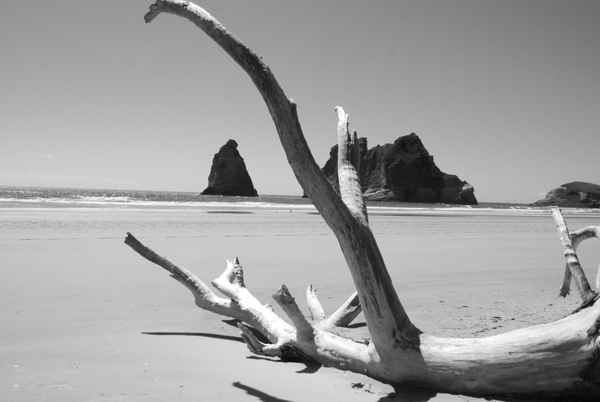 Strand in Neuseeland