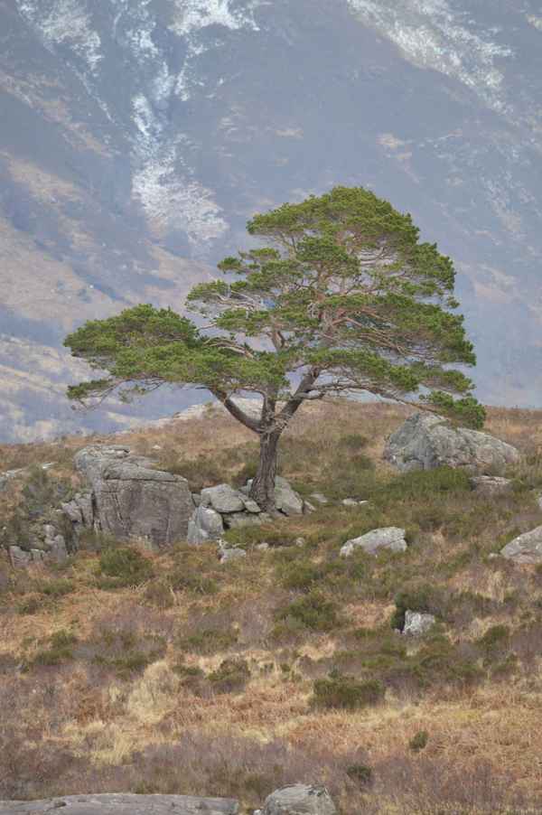 Highlands