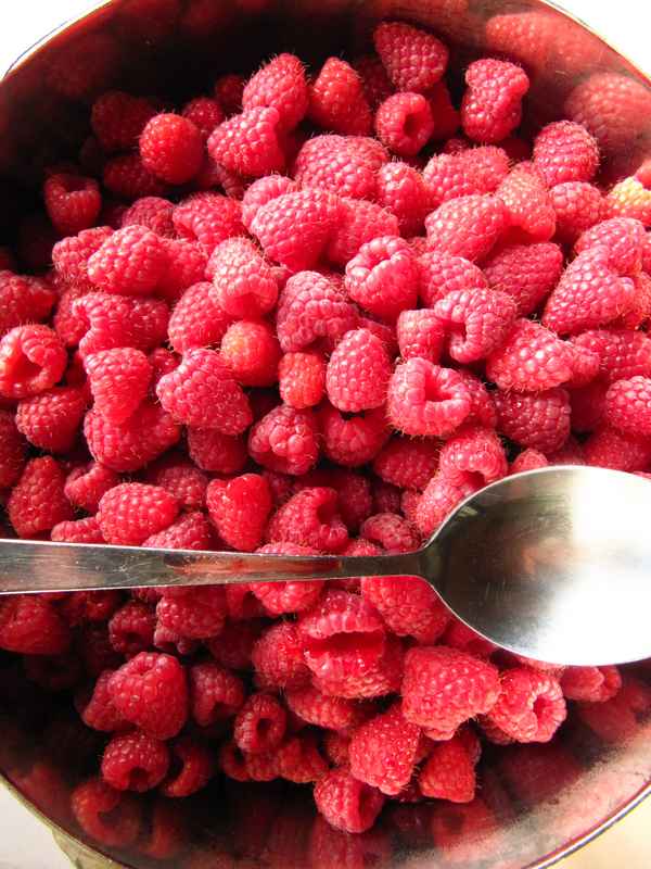 Himbeer-Dessert