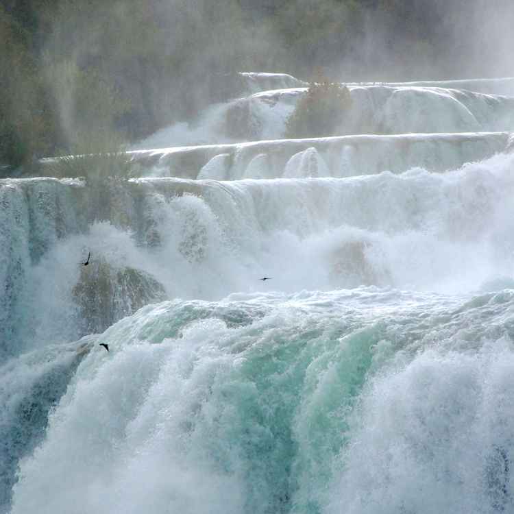 Wasserwelten...