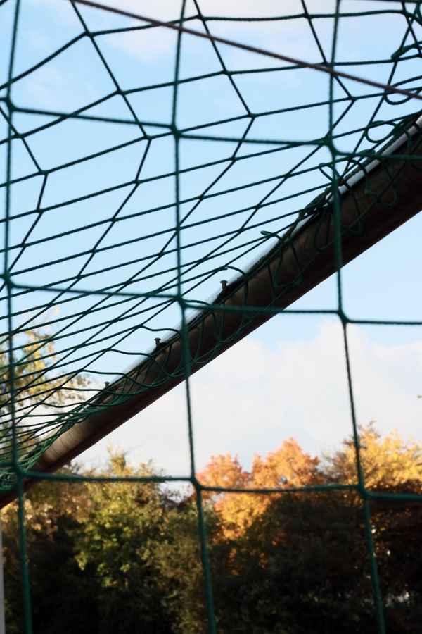 ein Tor, ein Tor....