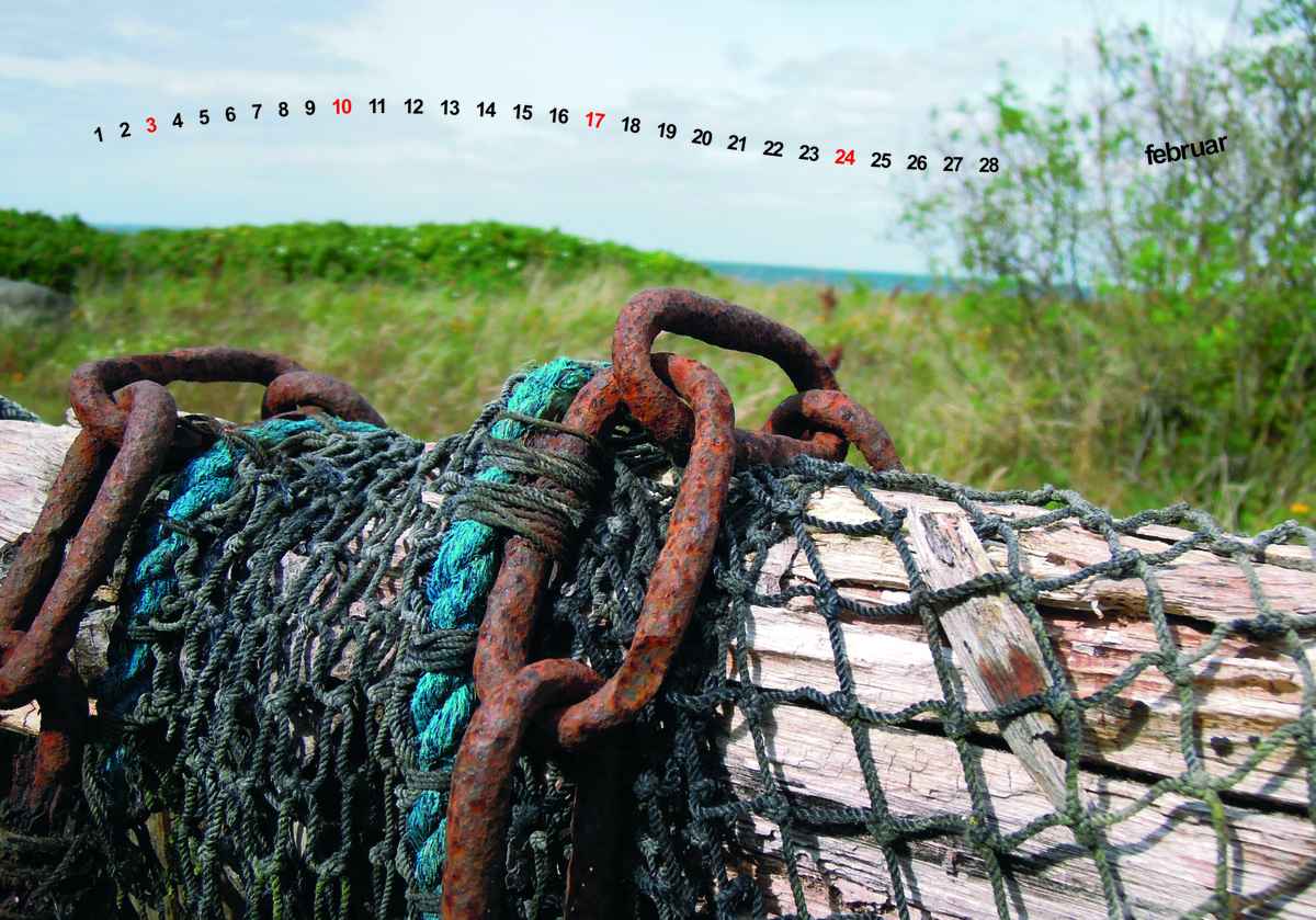 Kalender 2013 - Langeland Dänemark - Februar