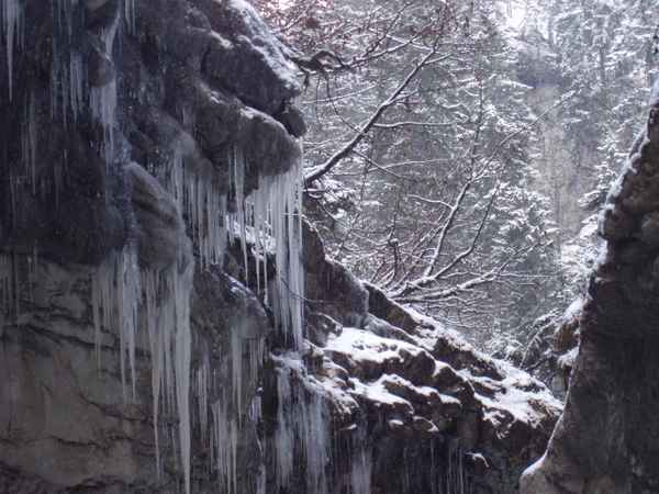 Im Reich des Eiskönigs
