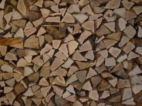 Jede Menge Holz