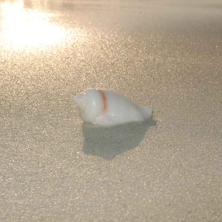 am Strand
