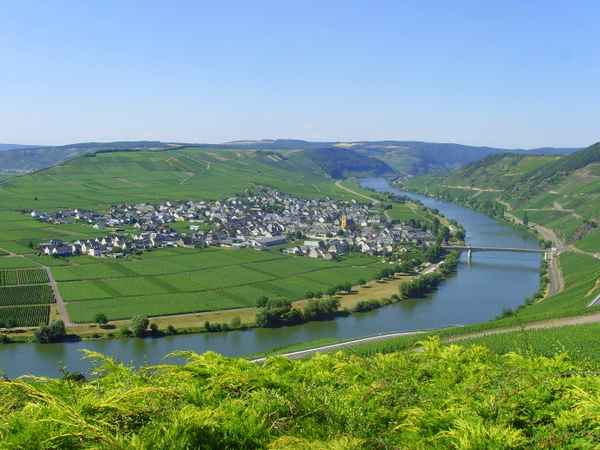 Urlaubsreifer Moselblick