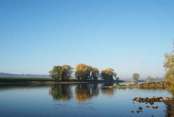 Herbstmorgen an der Elbe