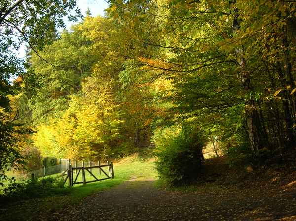 Herbstimpression1