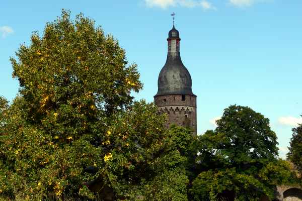 Zons am Rhein