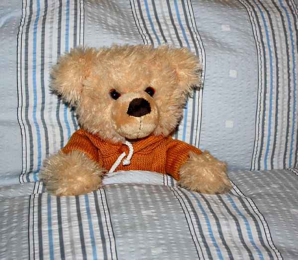 EIN SONNTAG IM BETT
