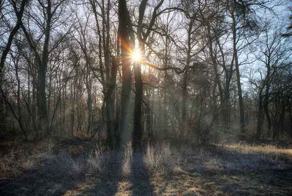 Eiskalter, stiller Morgen