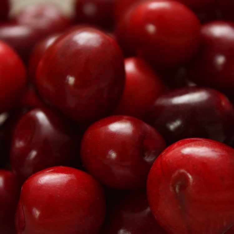 Rote Kirschen