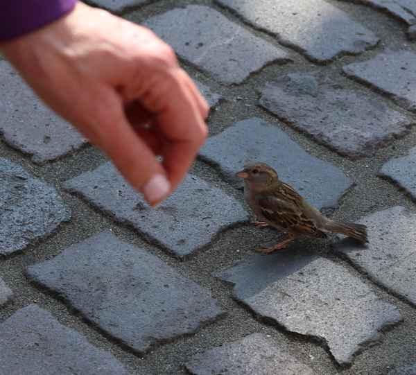 Hast Du was für mich?
