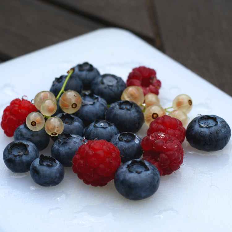 Obst - ganz frisch gewaschen