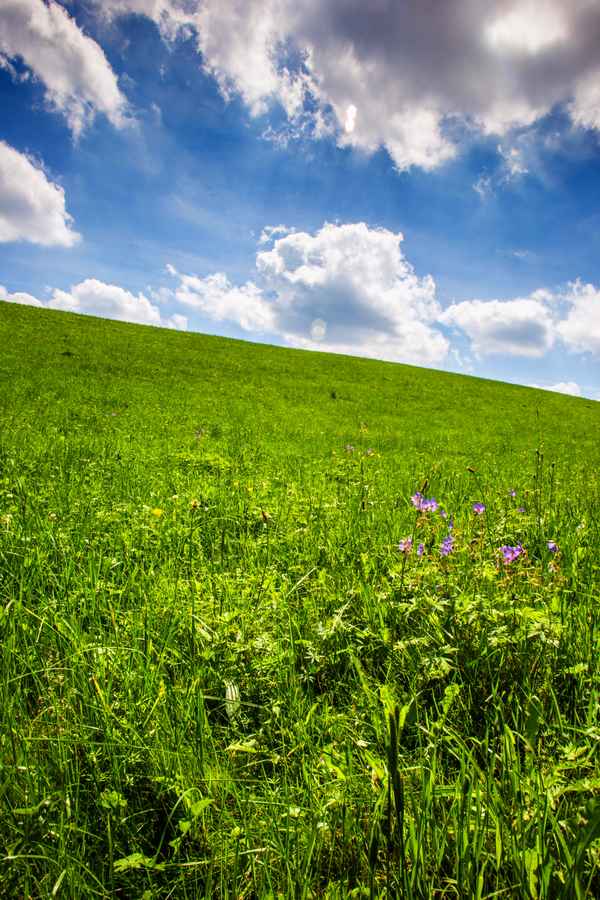 Wolkenwiese_hoch