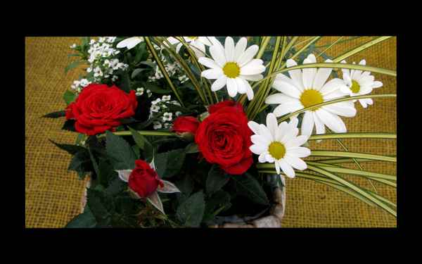 es kommt schneller, als Du denkst...