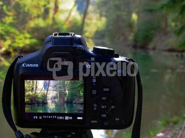 Kamera im Wald