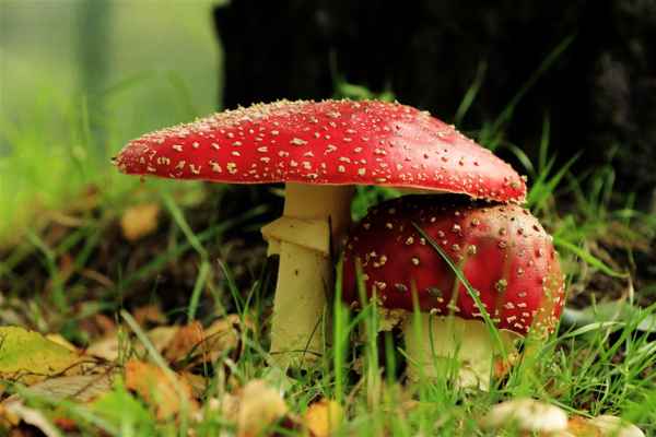 unterm rettungsschirm