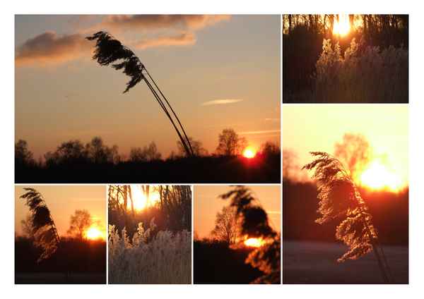 Glühender Winterabend