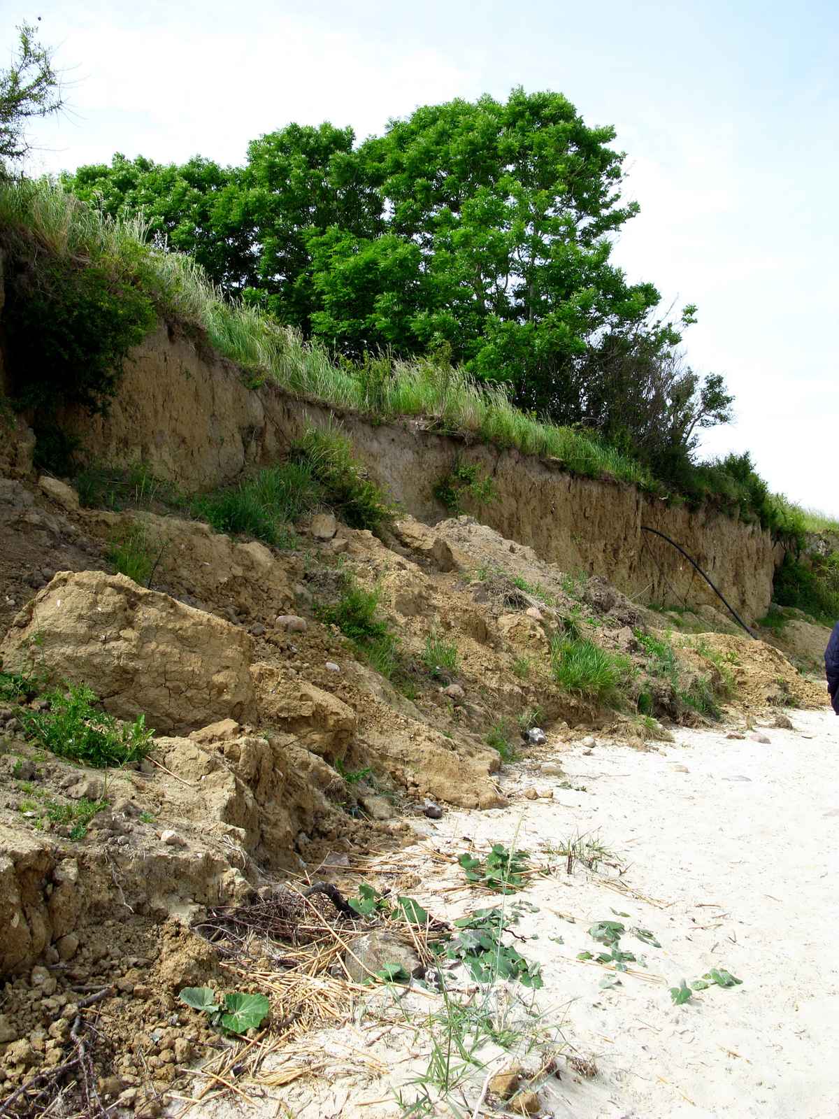 Steilküste in Stein