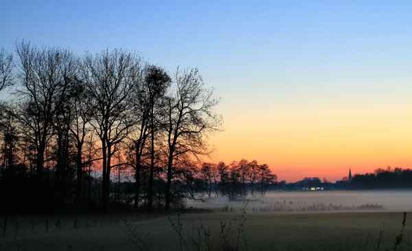 nebel in den wiesen  zur blauen stunde