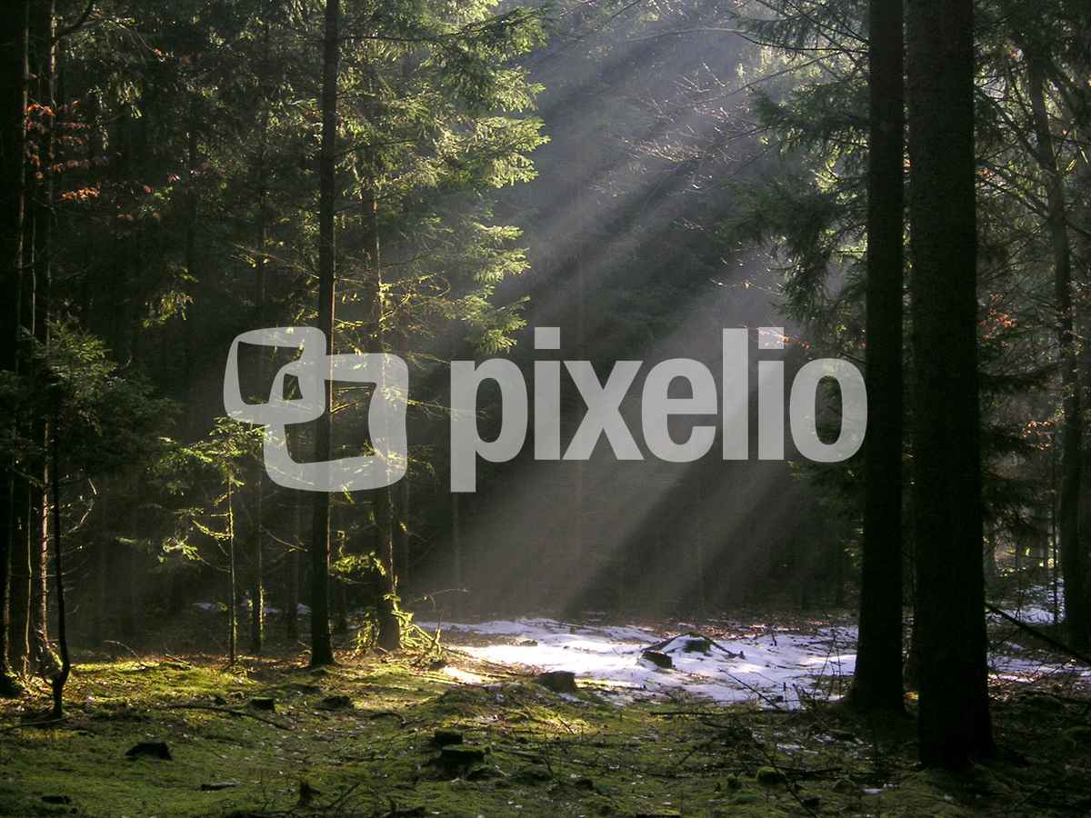 Lichtblick