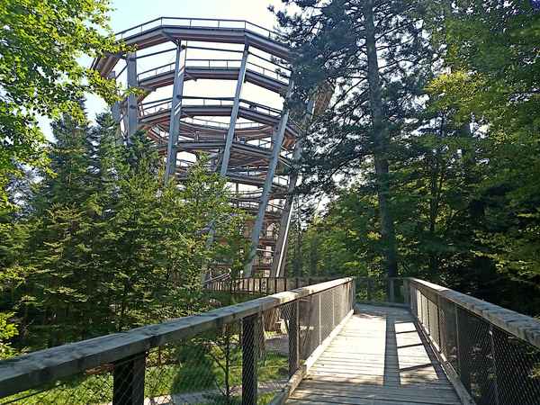 Baumwipfelpfad Bad Wildbad