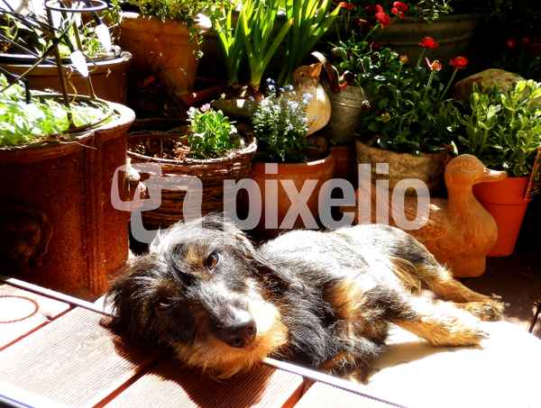 Relaxen in der Sonne