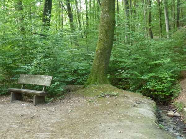 Schattiges Plätzchen