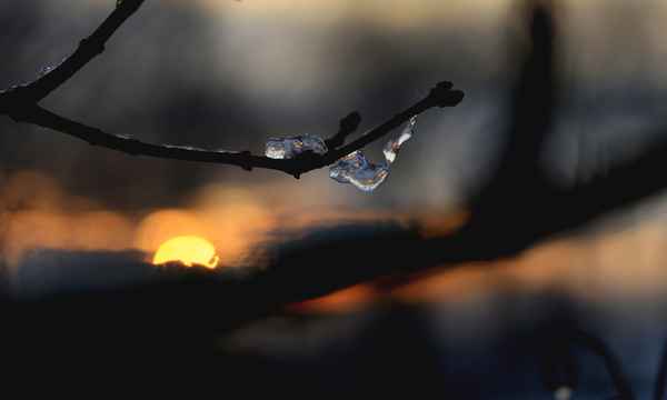 *WS*   abendsonne in eis