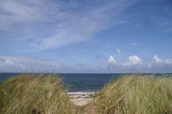 Düne auf Helgoland