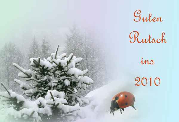 Guter Rutsch ins 2010