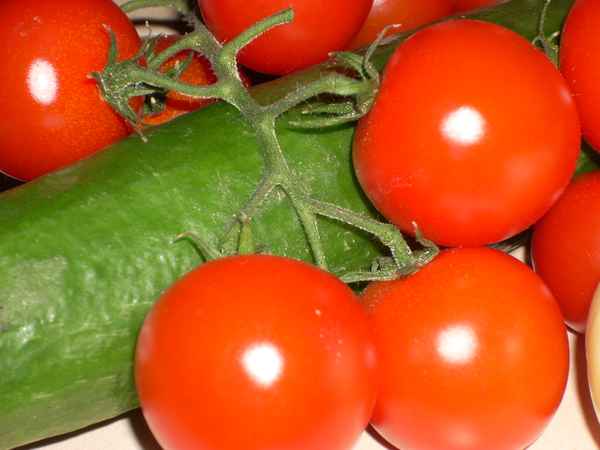 Gurke mit Tomaten