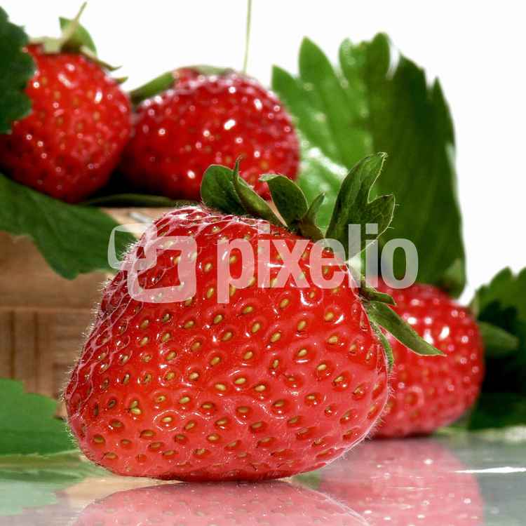 Strawberries (nur redaktionelle Nutzung)