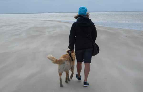 Strandläufer