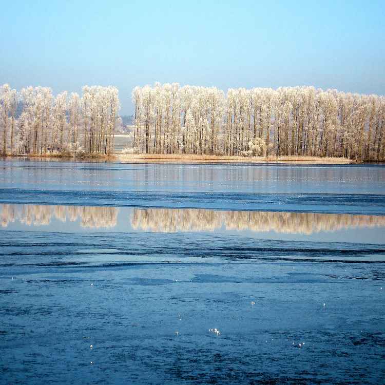 Winterlich