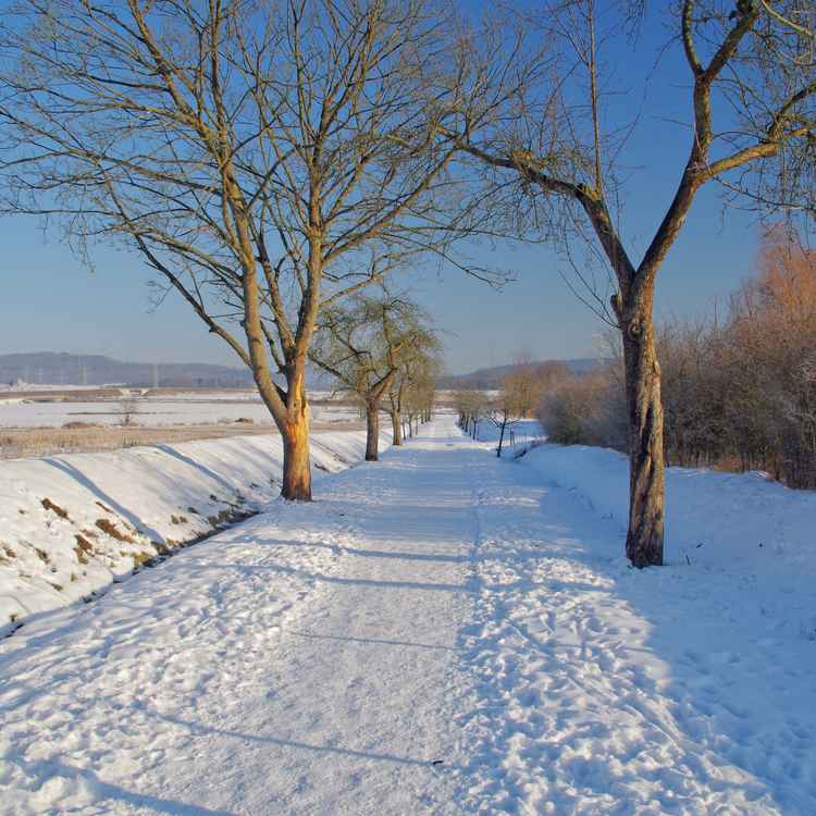 Winter am Esbachsee 02